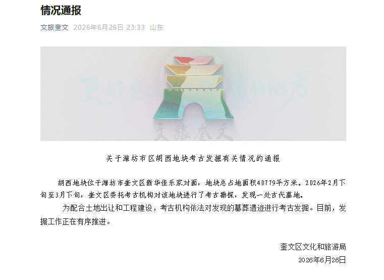 体育赛事深度解读的奥秘 - 开云